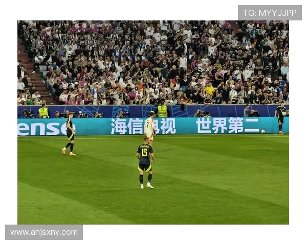 聚焦绿茵逐梦之旅：解析世界足球竞争格局与未来发展趋势全景深度观察