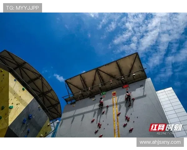 专业解读：武汉攀岩队的控制打法