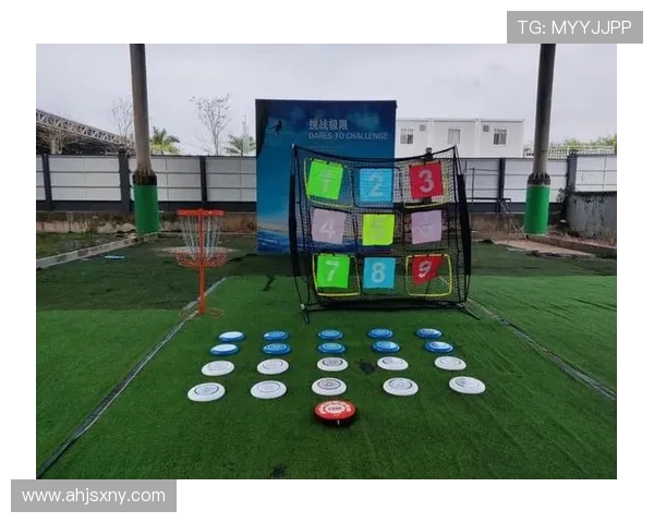 深度分析深圳飞盘队区域防守战术的优势与策略解析